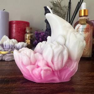 Strawberry Moon Candle | Capricorn Career, Balance, Structure Spell Candle